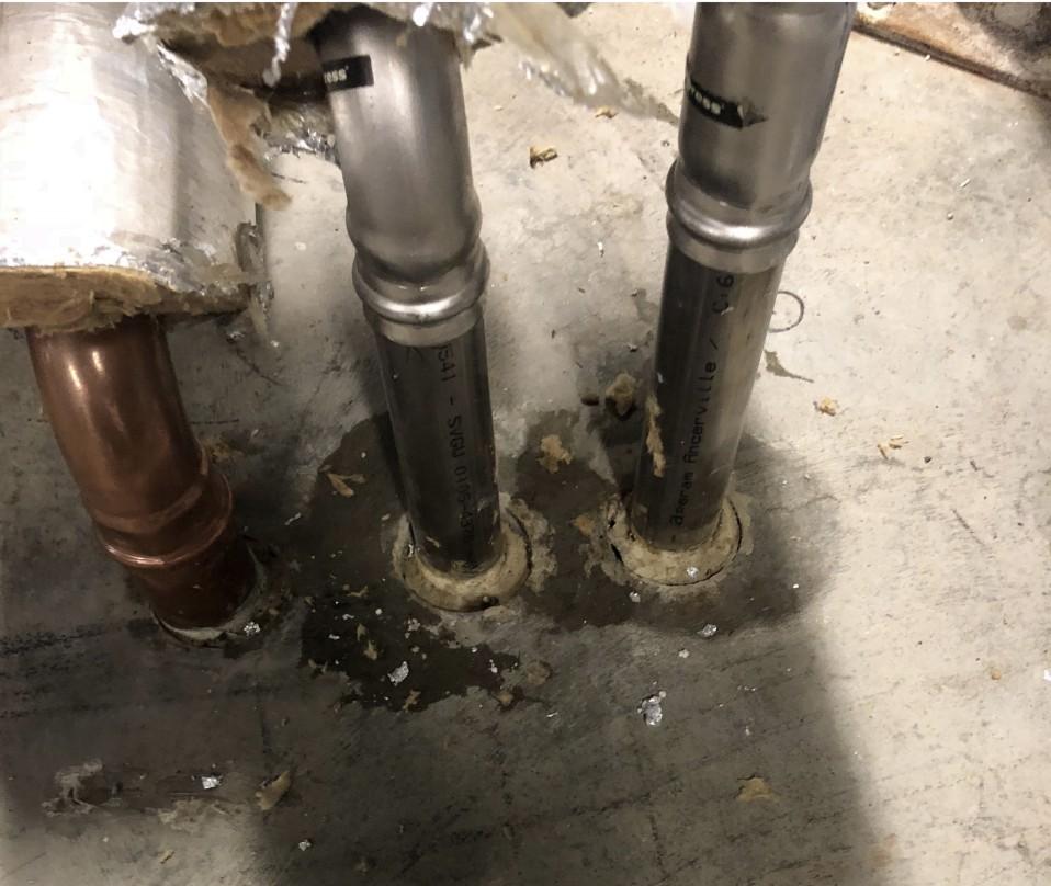 Moisture staining around pipe penetrations in concrete floor at Prince of Wales Hospital